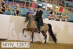 14yn_12872 thumbnail