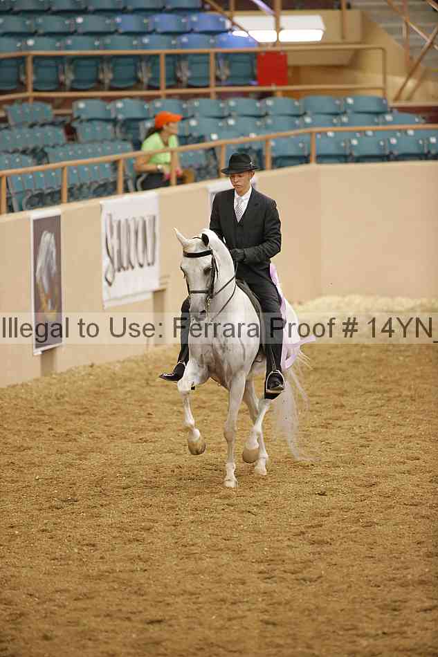 Proof Number 14yn_12891