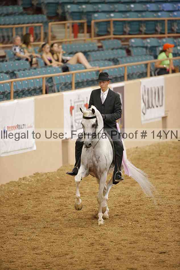 Proof Number 14yn_12893