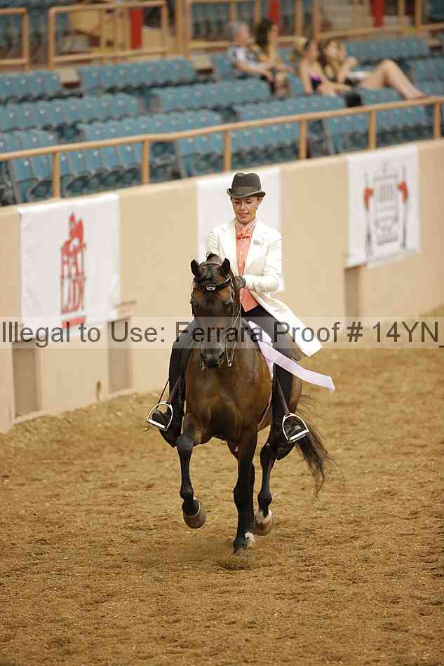 Proof Number 14yn_12907