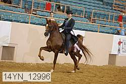 14yn_12996 thumbnail
