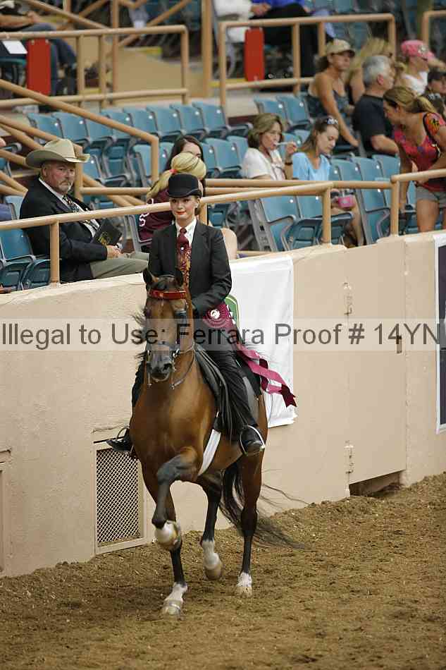 Proof Number 14yn_30617