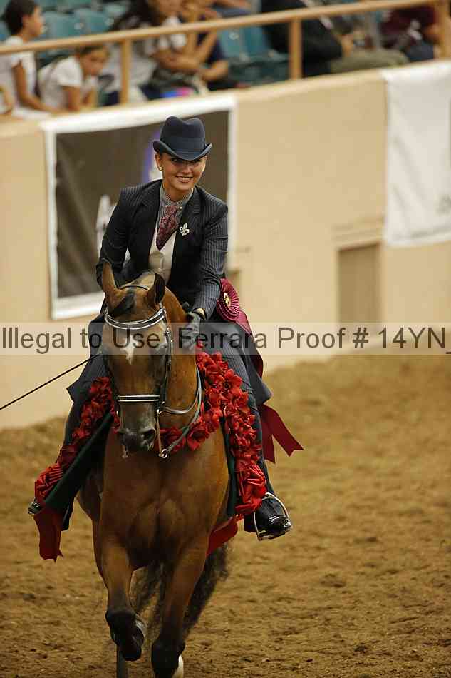 Proof Number 14yn_30655