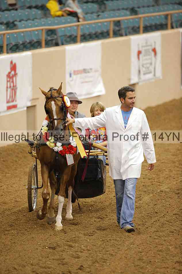 Proof Number 14yn_19115
