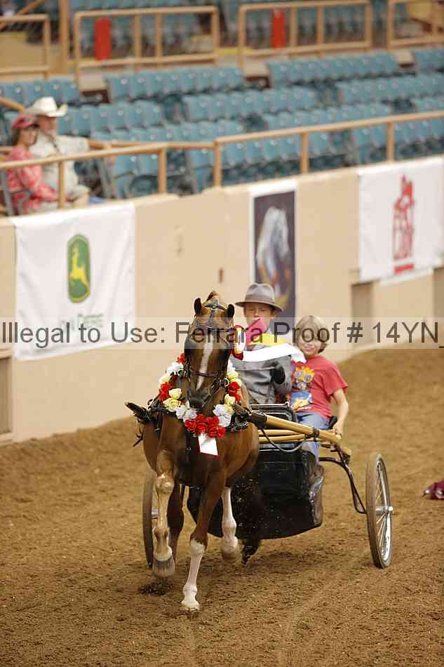 Proof Number 14yn_19133