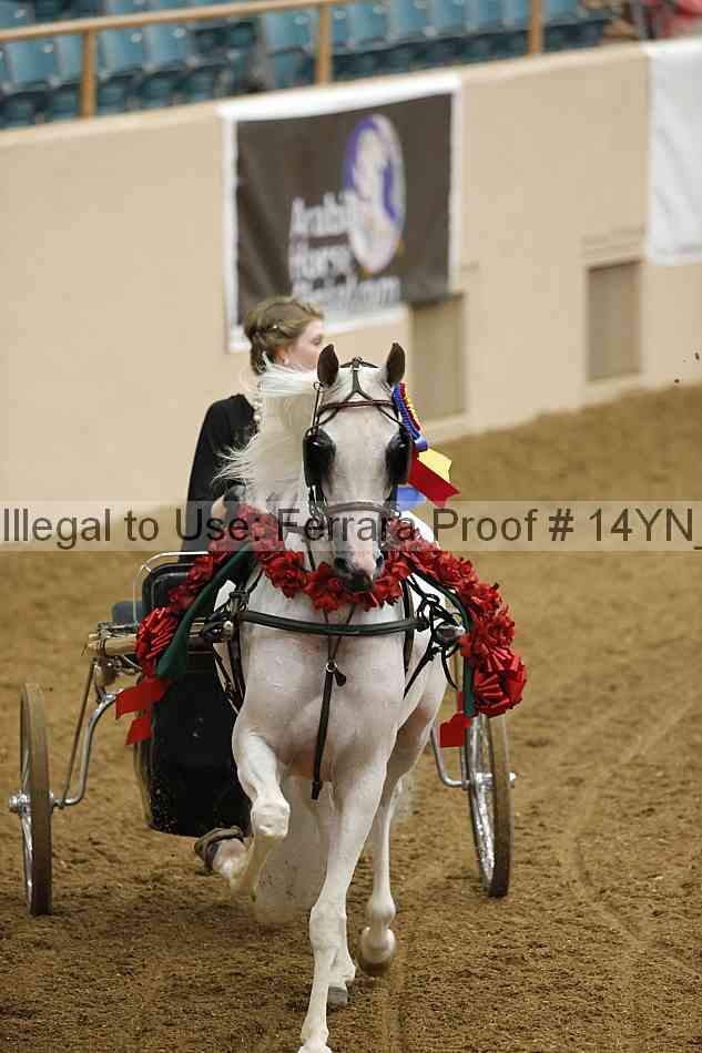 Proof Number 14yn_19142