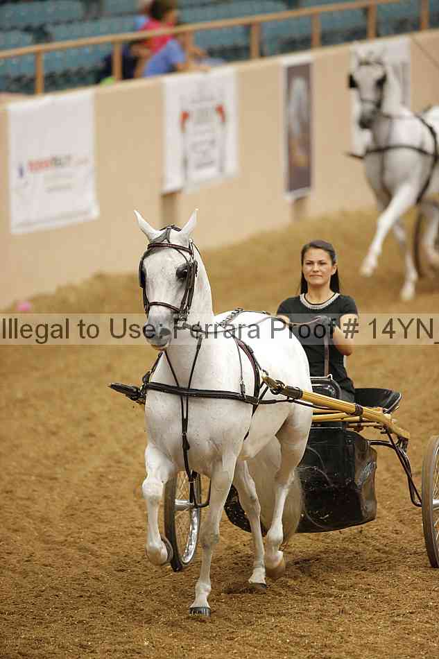 Proof Number 14yn_11702