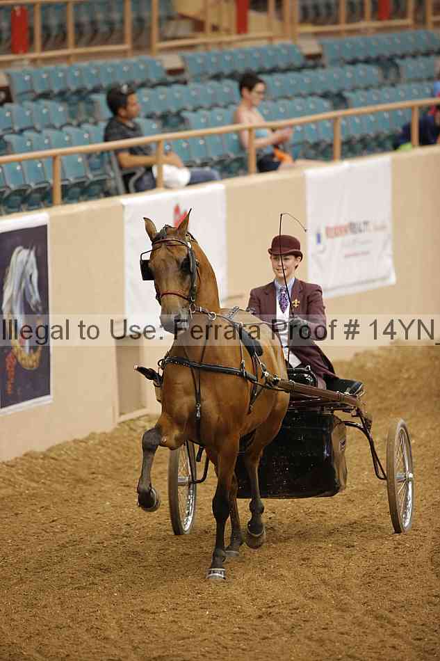 Proof Number 14yn_11710
