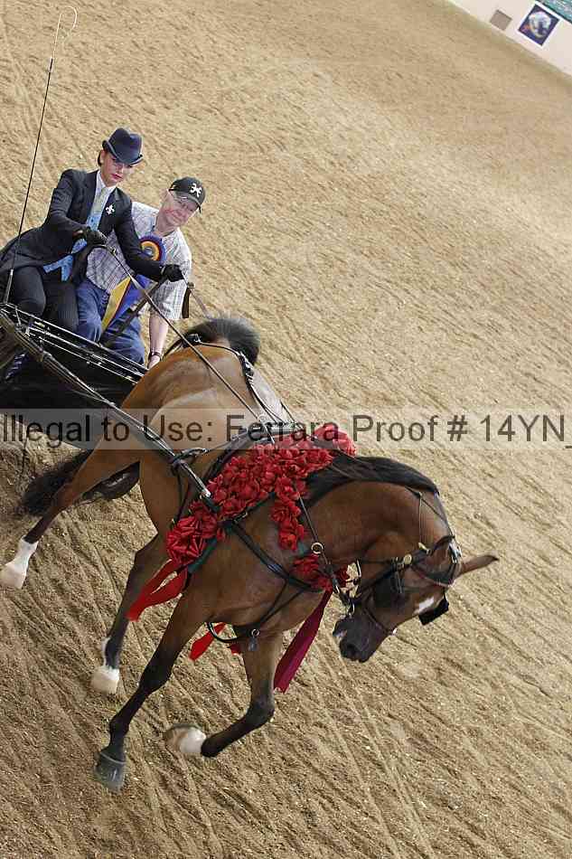 Proof Number 14yn_11807