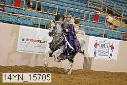 14yn_15705 thumbnail
