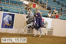 14yn_15706 thumbnail