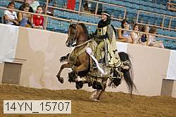 14yn_15707 thumbnail