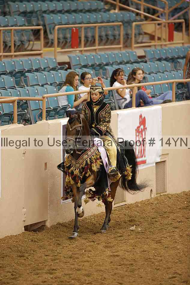 Proof Number 14yn_15775