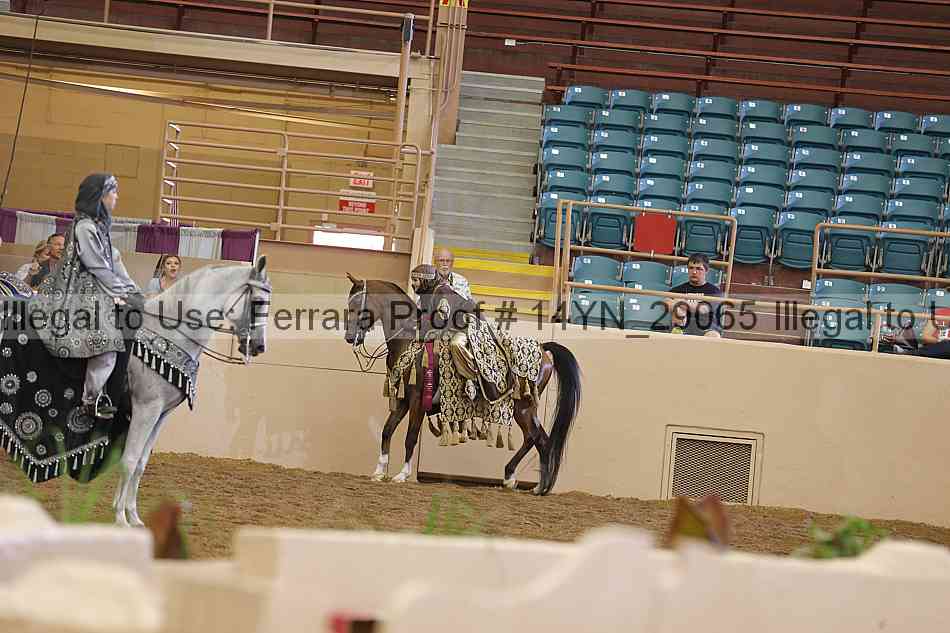Proof Number 14yn_29065