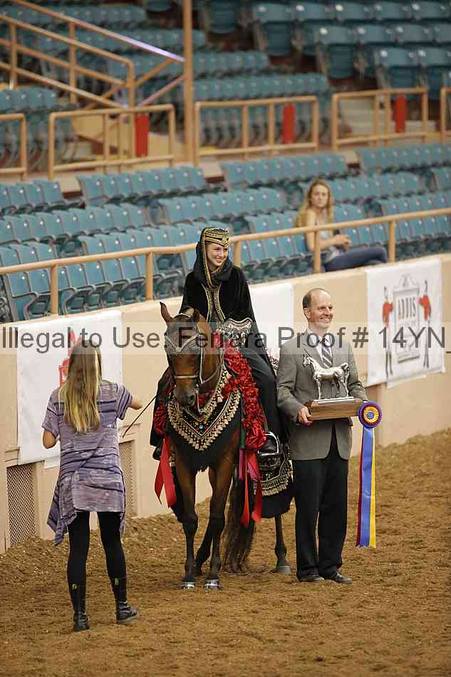 Proof Number 14yn_29094