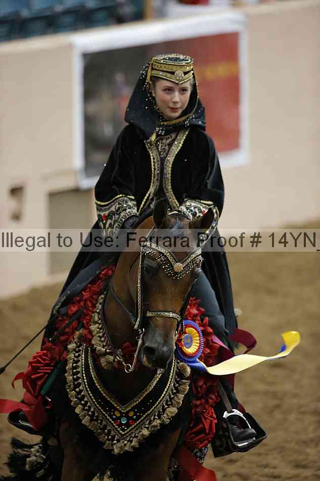 Proof Number 14yn_29153