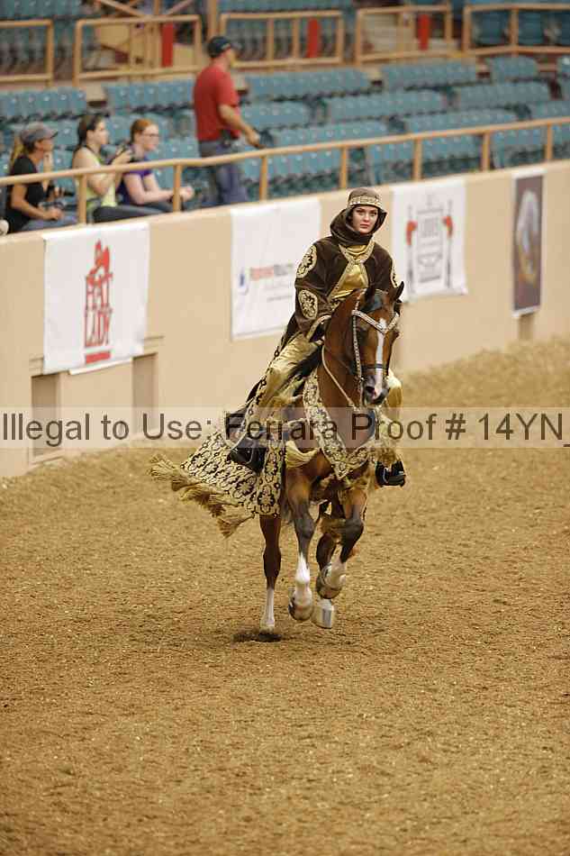 Proof Number 14yn_04980