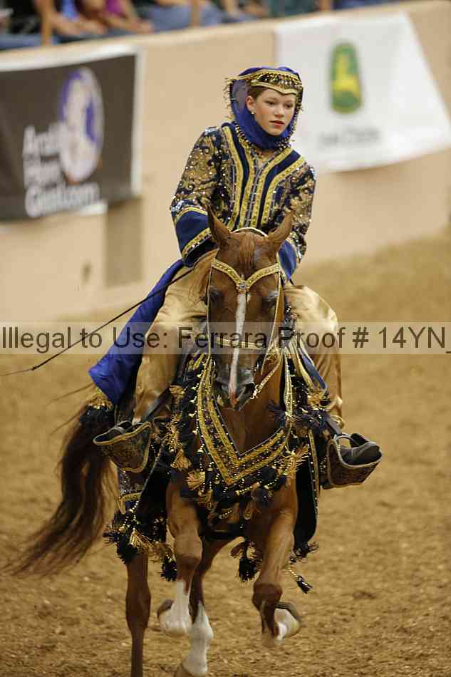 Proof Number 14yn_05022