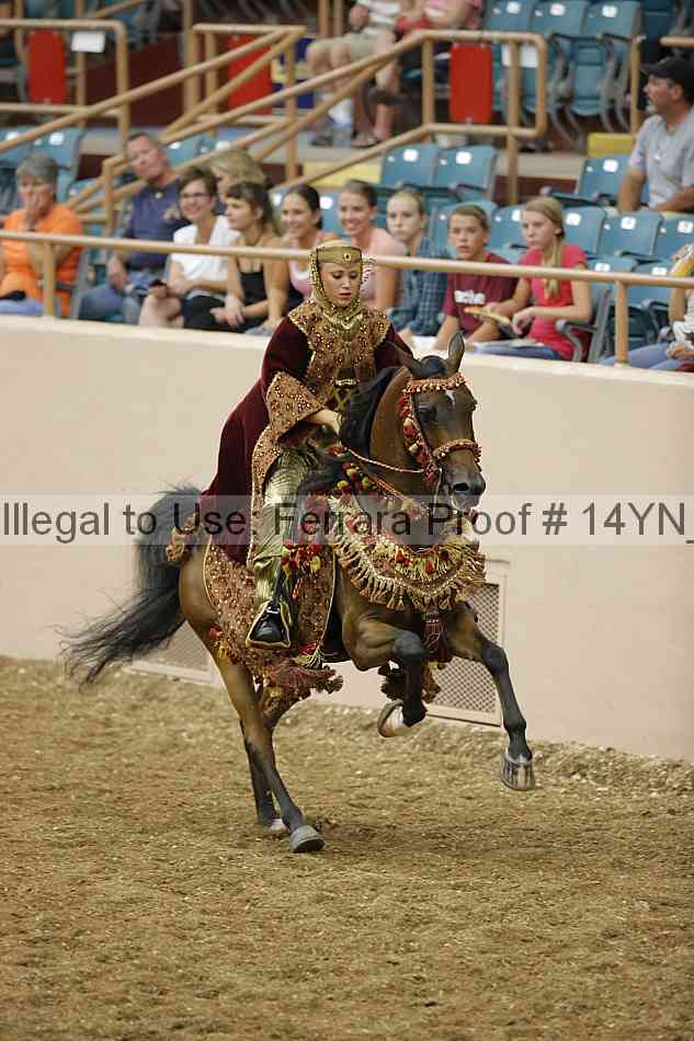 Proof Number 14yn_05029