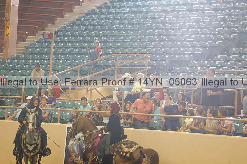 Proof Number 14yn_05063
