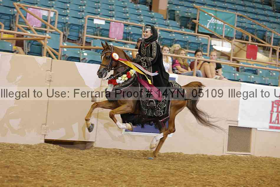 Proof Number 14yn_05109