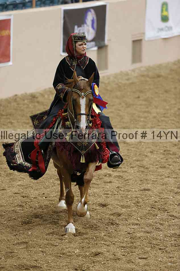 Proof Number 14yn_05118