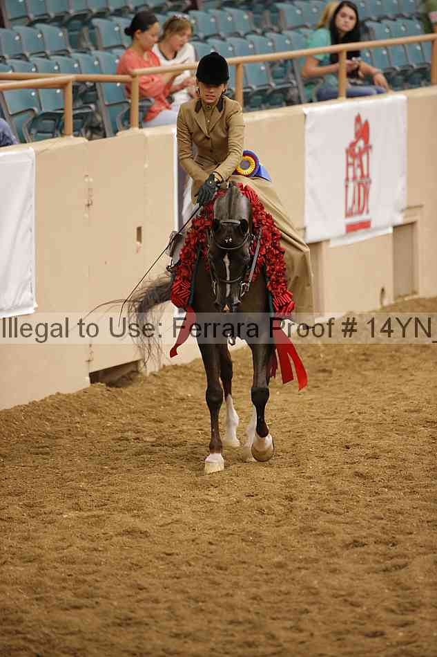 Proof Number 14yn_21347