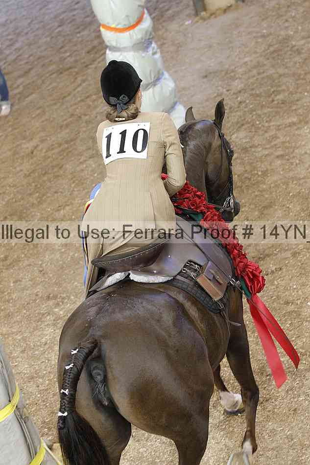 Proof Number 14yn_21428
