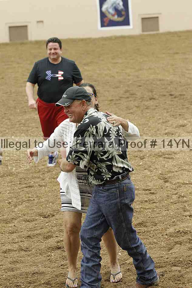 Proof Number 14yn_17532