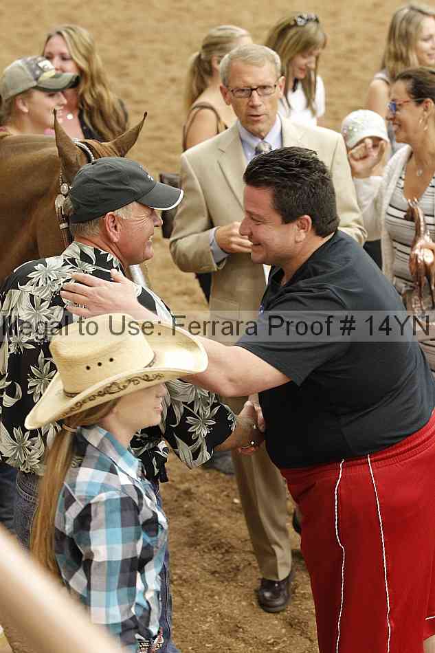 Proof Number 14yn_17539