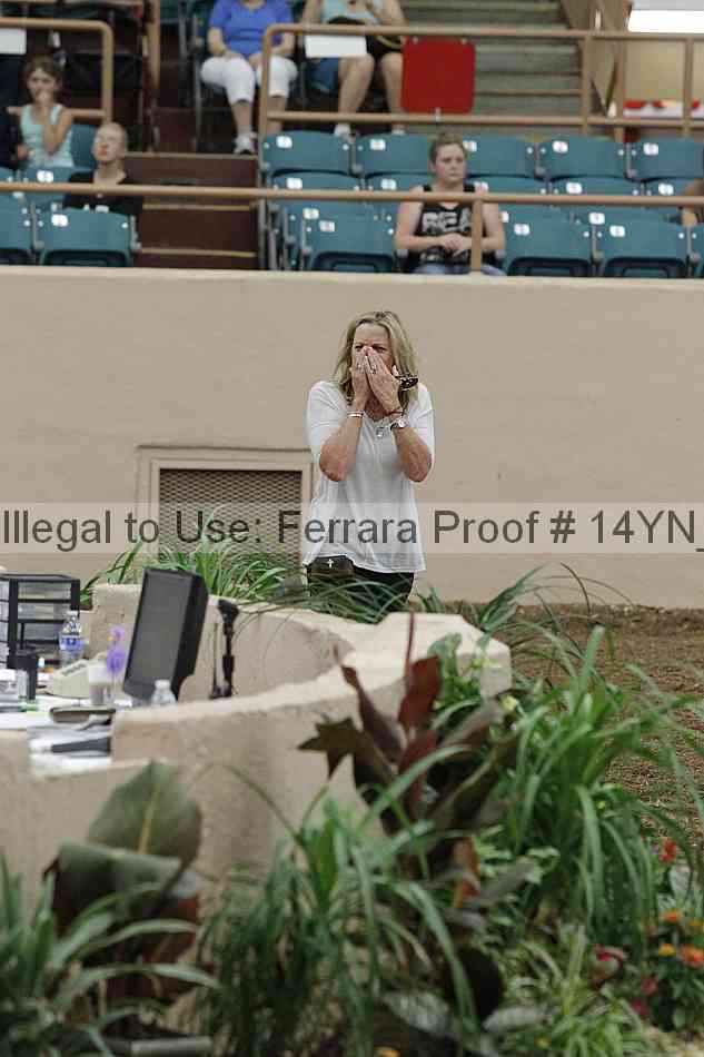 Proof Number 14yn_14600