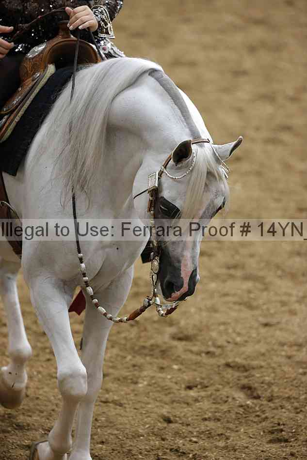 Proof Number 14yn_14666