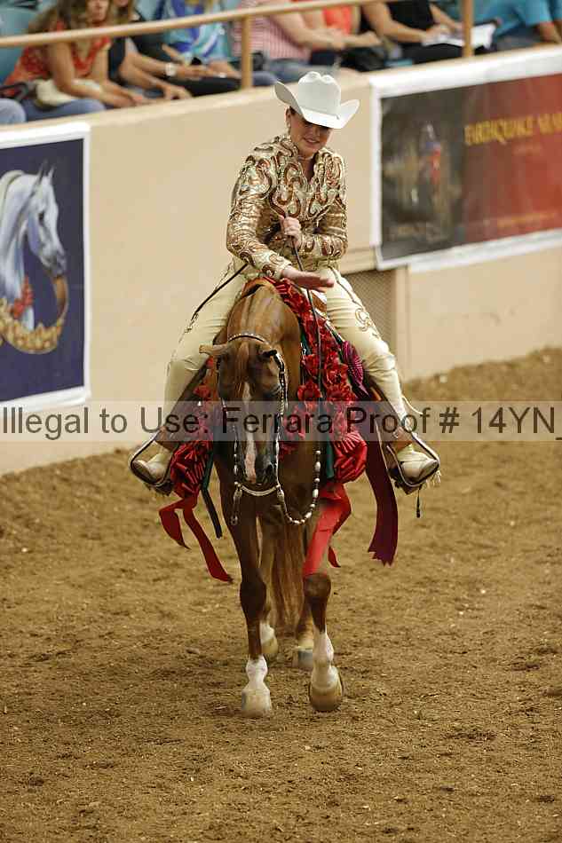 Proof Number 14yn_14680