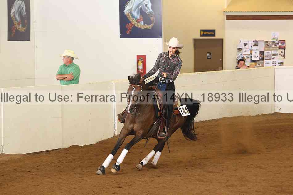 Proof Number 14yn_18933