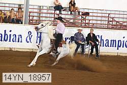 14yn_18957 thumbnail