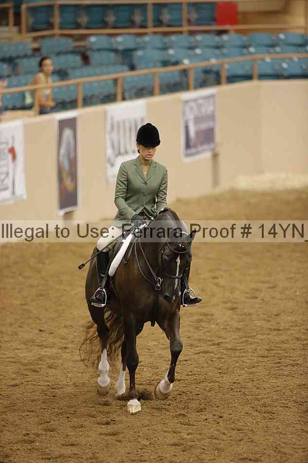 Proof Number 14yn_29866