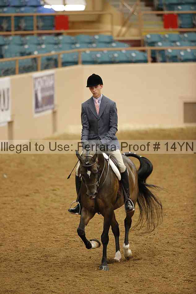 Proof Number 14yn_29899