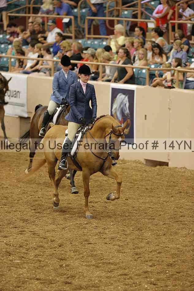Proof Number 14yn_04128