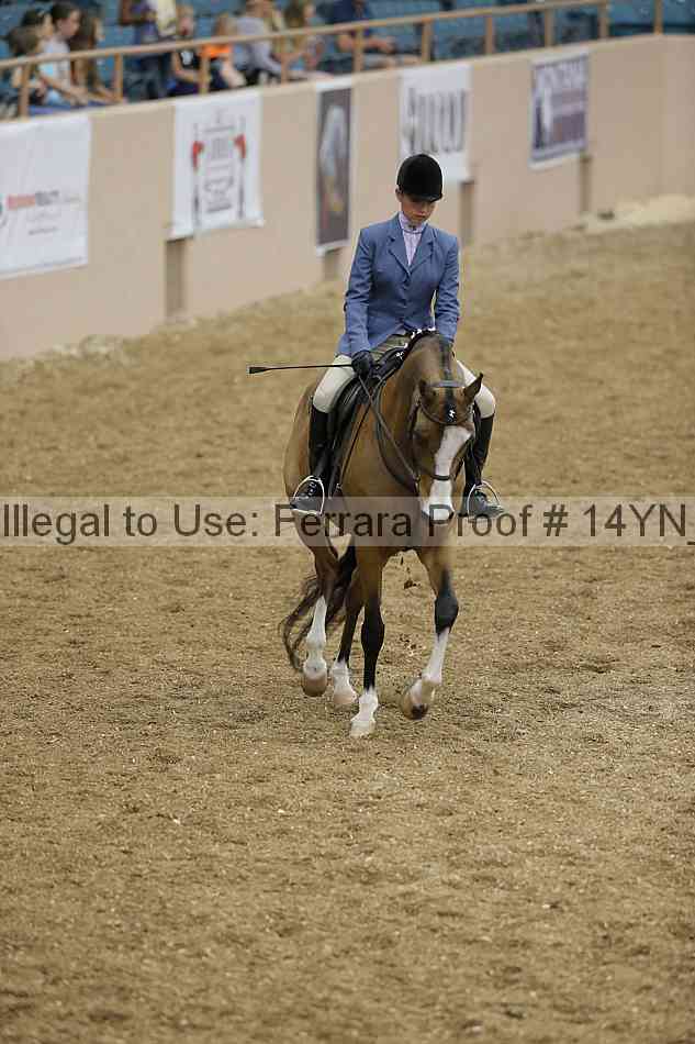 Proof Number 14yn_04195