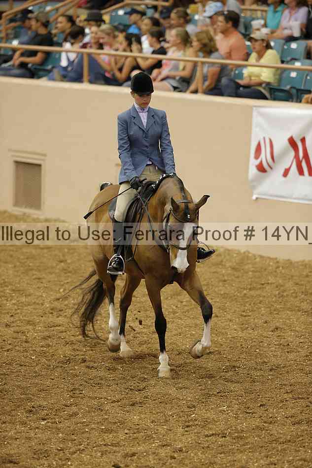 Proof Number 14yn_04215