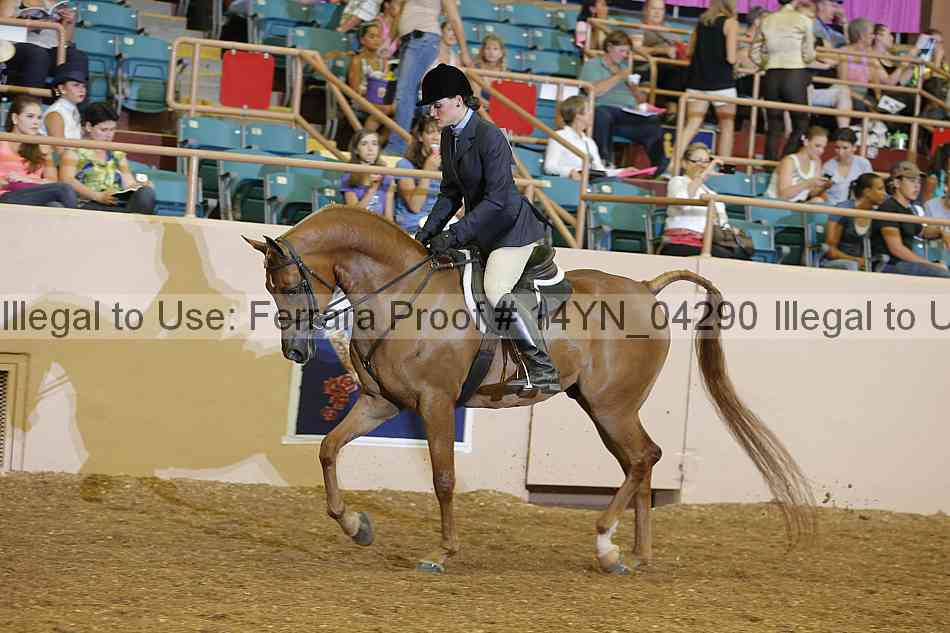Proof Number 14yn_04290