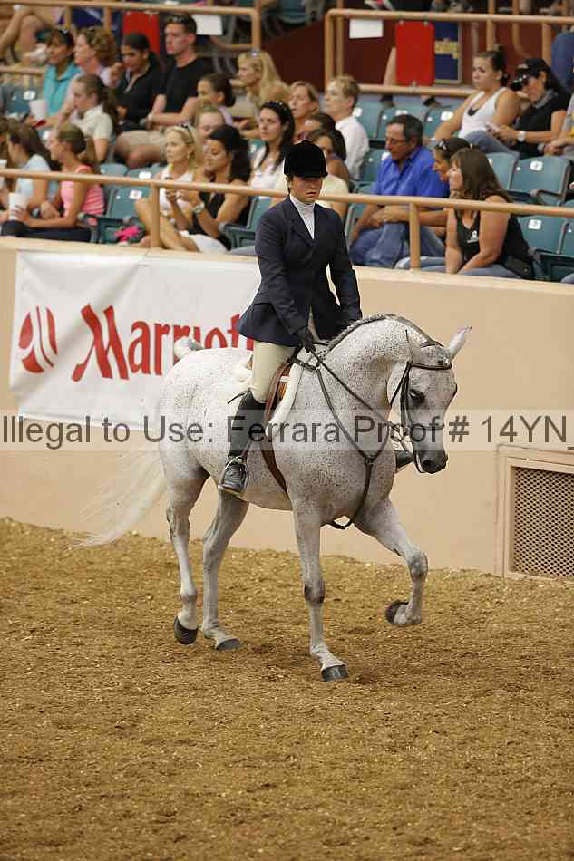 Proof Number 14yn_04295