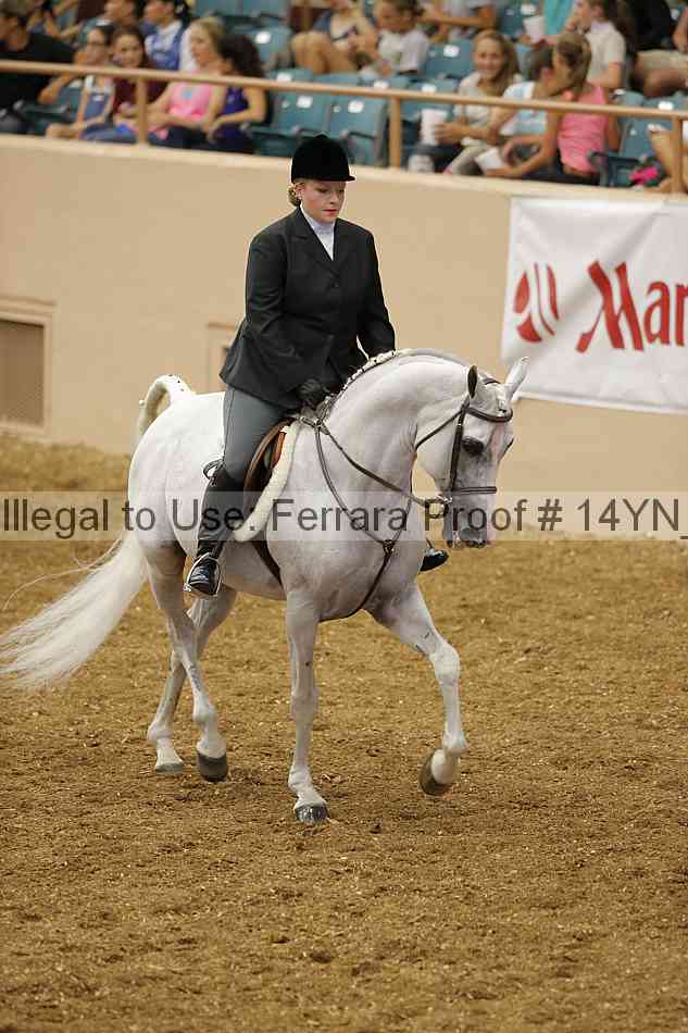 Proof Number 14yn_04299