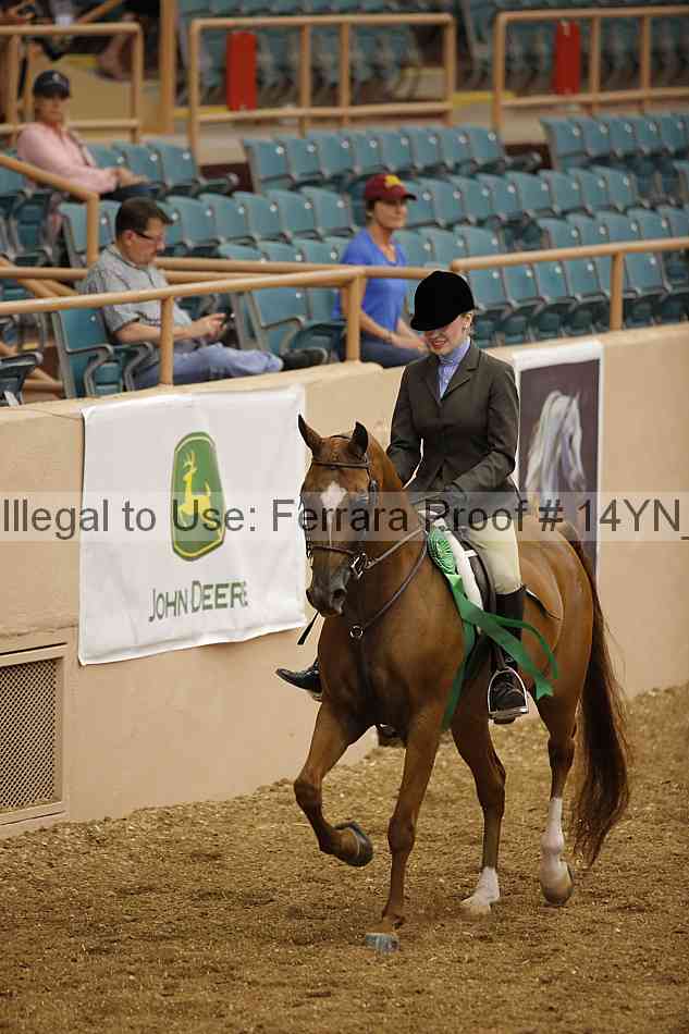 Proof Number 14yn_04308