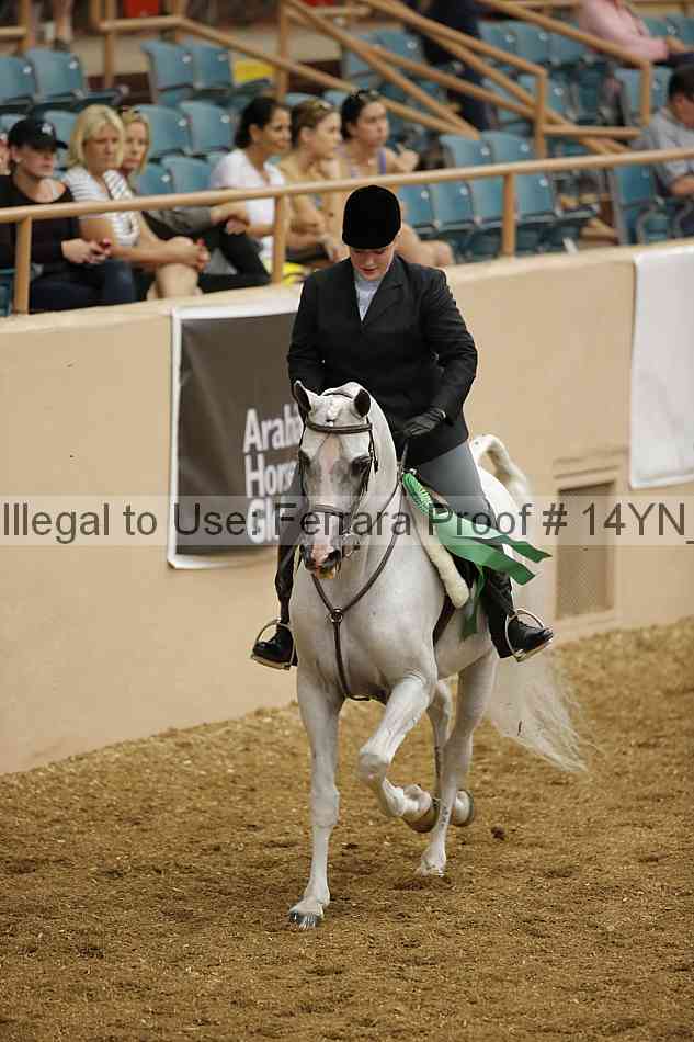 Proof Number 14yn_04315