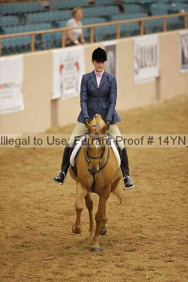 Proof Number 14yn_10804