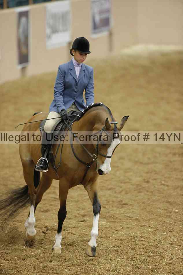 Proof Number 14yn_10807