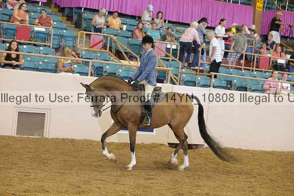 Proof Number 14yn_10808