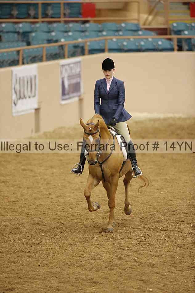 Proof Number 14yn_10836