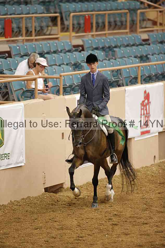 Proof Number 14yn_10859